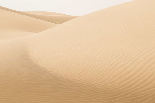 Glooiende duinen in woestijnlandschap