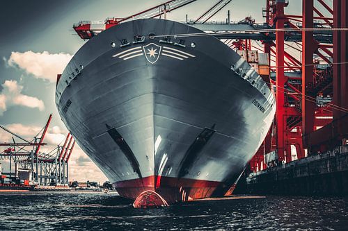 Hamburg - Container giant at the terminal by Sabine Wagner