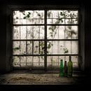 Still-Life with glass bottle, Vito Guarino by 1x thumbnail