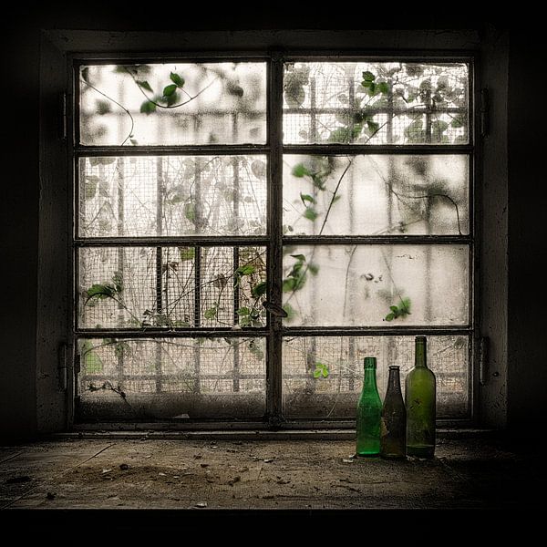 Still-Life with glass bottle, Vito Guarino by 1x