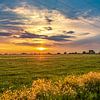 Zonsondergang Alblasserwaard van Donny Kardienaal