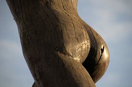 houten beeld van Aad van der linden