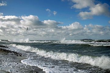 Tempête de la mer Baltique sur Ostsee Bilder