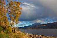 Loch Rannoch met de berg Schiehallion, Perth en Kinross, Schotland van Arch White thumbnail