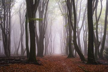 Geest van bomen van Tvurk Photography