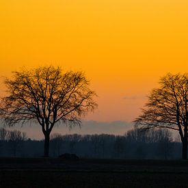 winter trees ii by Stobbe; stiltegrafie