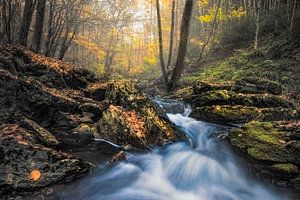 Herfst aan de rivier