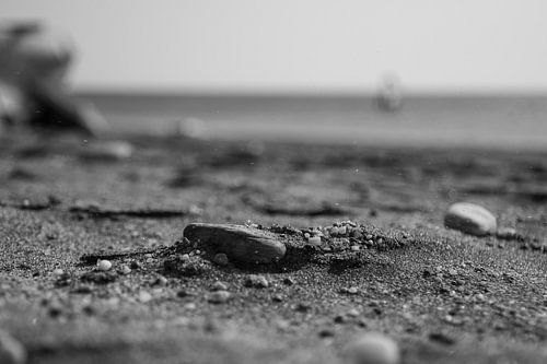 Schwarz-Weiß-Foto eines flachen Steins am Strand 