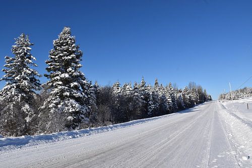 Een landweg in de winter