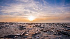 Muscheln am Sandstrand von Mark de Bruin