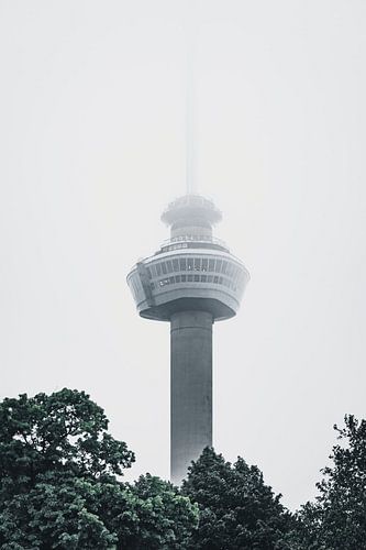Mistige Euromast achter bomen, rotterdam