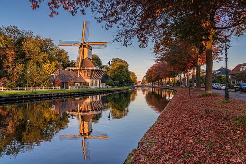 Het laatste herfstzonlicht op Molen 't Haantje