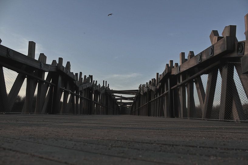 sprokkelbrug von Jean Jacobs