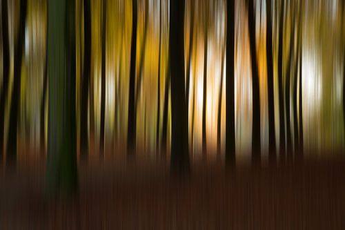 Herfst Abstract 