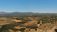 Landschap Kreta van Gonnie van Hove thumbnail