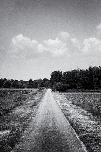 The road ahead (zwart-wit)