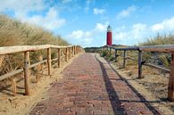 lighthouse on Texel by Ronald Timmer thumbnail