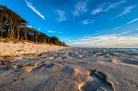 Dream beach