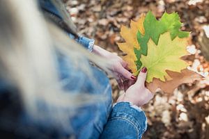 Feuilles d'automne en main