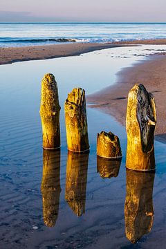 Groynes on shore of the Baltic Sea by Rico Ködder