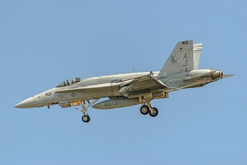 Boeing F/A-18C Hornet van VFA-37 Ragin' Bulls. van Jaap van den Berg