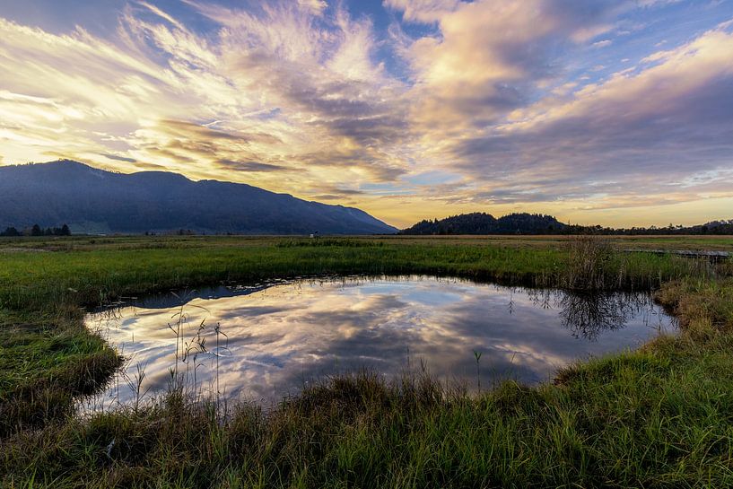 Gouden uur bij het mosoog van Teresa Bauer