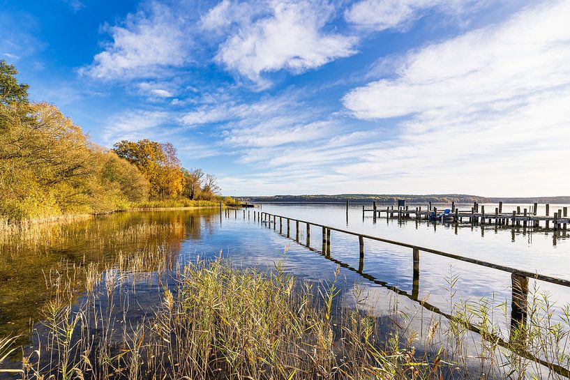 Steg und Baum am Plauer See in der Stadt Plau am See von Rico Ködder