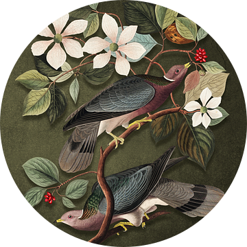 Audubon's Pigeons van Marja van den Hurk