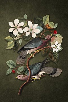 Audubon's Pigeons by Marja van den Hurk
