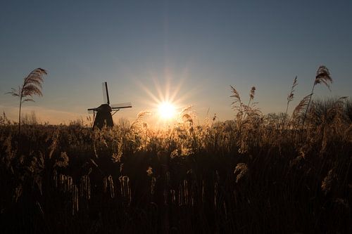 Mooie zonsopkomst bij molen