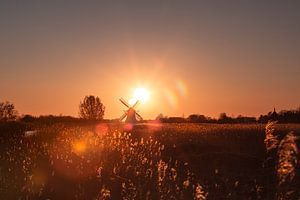 Goedemorgen Groningen van P Kuipers