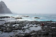 Fish caught from the coast par Robert Beekelaar Aperçu