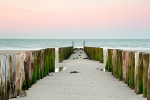 Strandpalen tijdens zonsopkomst