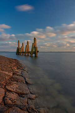 Holzfender im Wasser von Etienne Rijsdijk