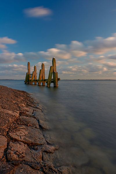 Défense en bois dans l'eau par Etienne Rijsdijk