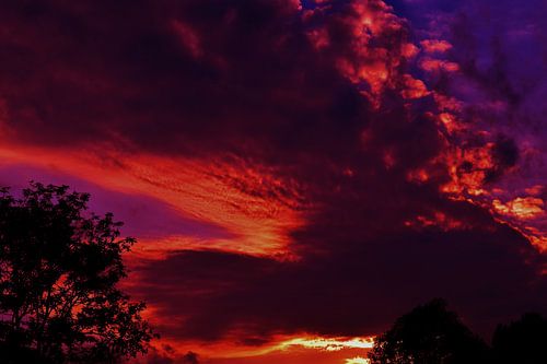Mystical dragon sky