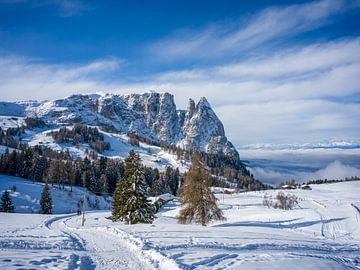 Alpe di Siusi - Sciliar and Santner Peak