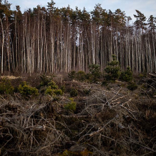 Open by Matthias Ettinger