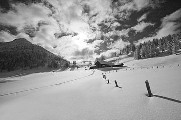 Winter magic on the Lackenalm in SW by Christa Kramer