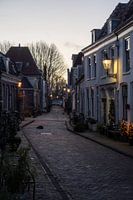 Cityscape Weesp
