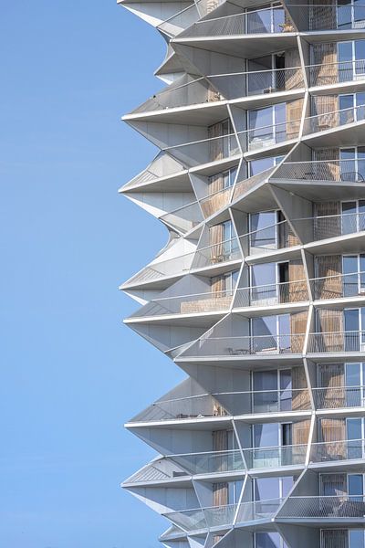 Kaktusturm Kopenhagen von Sander Groenendijk