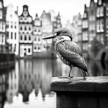 IJsvogel in Amsterdam van PixelMint.