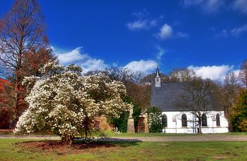 Magnoliabloesem voor de kasteelkerk