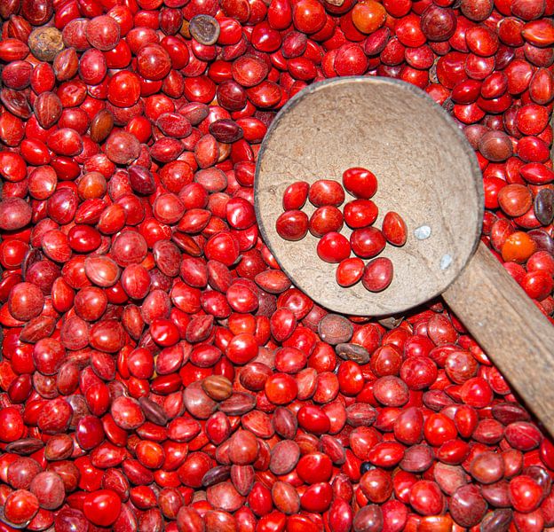 Sri Lanka, close up red legumes by Jan Fritz