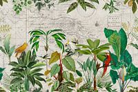 Die tropische Reise der Vögel