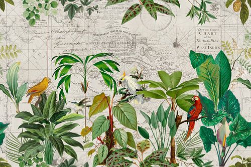 The tropical journey of the birds by Andrea Haase