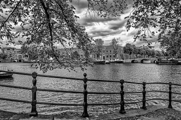 The Hermitage in Amsterdam (black and white) by Don Fonzarelli