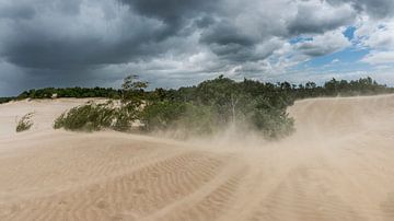 Storm - Loonse and Drunense Dunes by Laura Vink