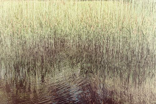 Reflectie van riet in water van Marijke de Leeuw - Gabriëlse
