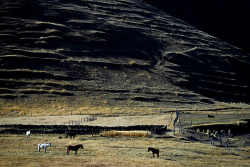 PERU 8